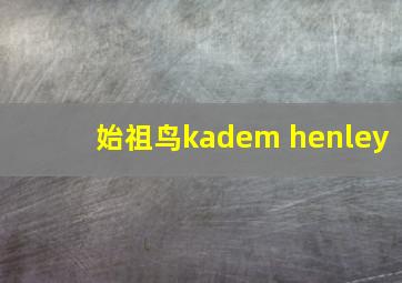 始祖鸟kadem henley